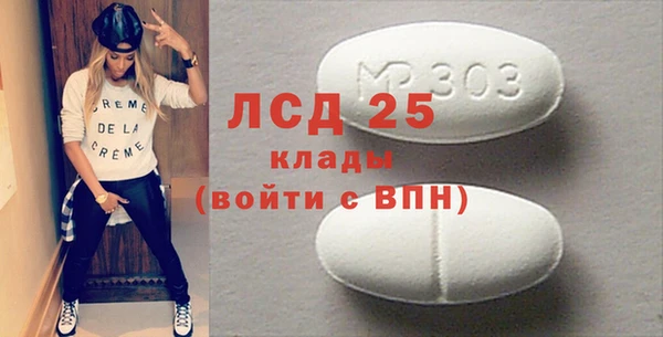 шишки Сясьстрой