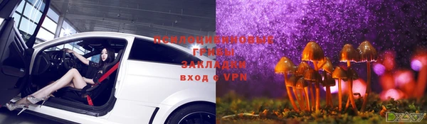 ГАЛЛЮЦИНОГЕННЫЕ ГРИБЫ Лабытнанги