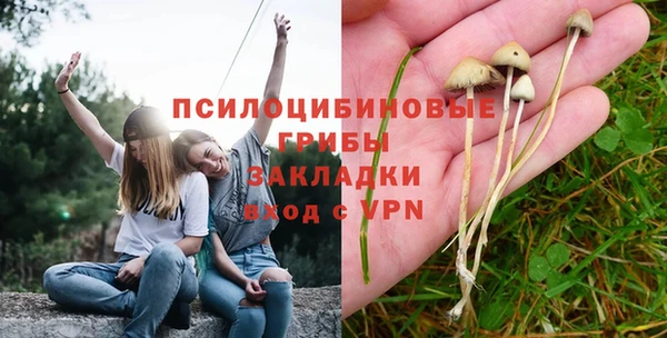 бутират Кукмор