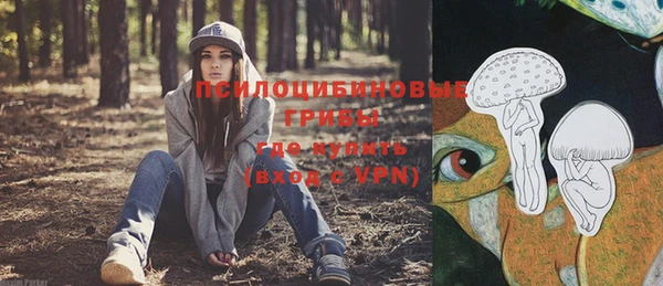 мет Нязепетровск
