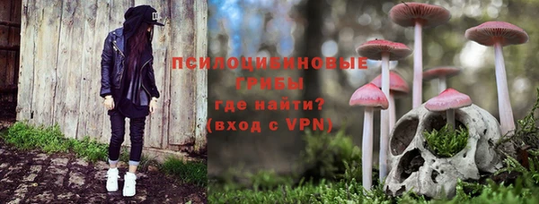 ГАЛЛЮЦИНОГЕННЫЕ ГРИБЫ Лабытнанги