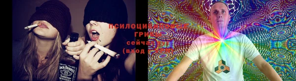 MDMA Premium VHQ Ладушкин