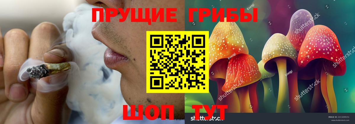 Галлюциногенные грибы Psilocybe  Галлюциногенные грибы Psilocybe  как найти наркотики  Тутаев  Вход с VPN 